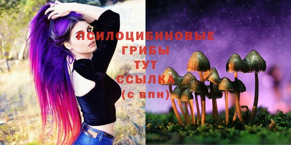 ALPHA-PVP Баксан