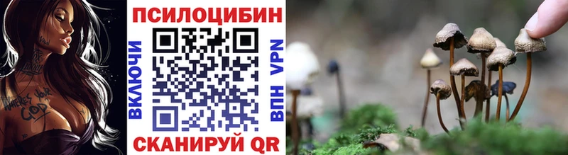 Купить Барыш Галлюциногенные грибы ЛСД